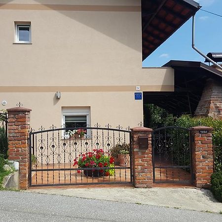Apartmani Tuheljske Тухельське Топліце Екстер'єр фото